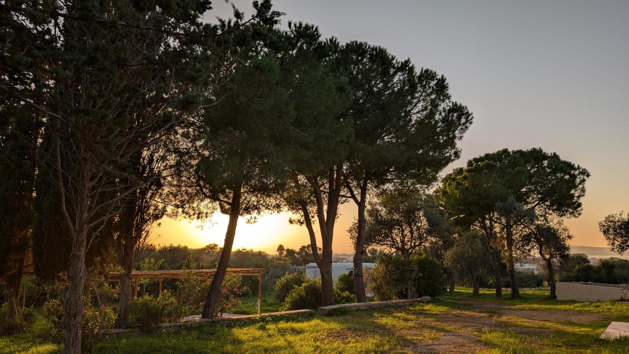 Casale Valverde อาลเกโร ภายนอก รูปภาพ