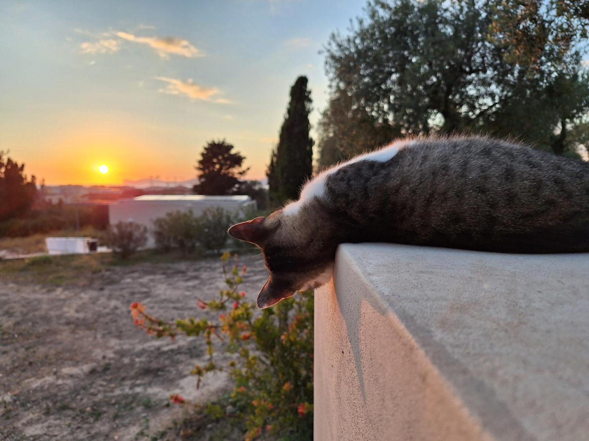 Casale Valverde อาลเกโร ภายนอก รูปภาพ